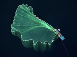 鸟瞰世界的震撼