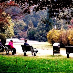 西安金秋处处有美景