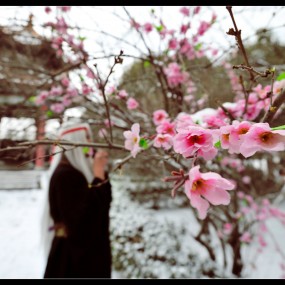 COS古风作品《箫无罪》