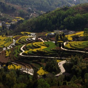 远方的田野——凤堰古梯田