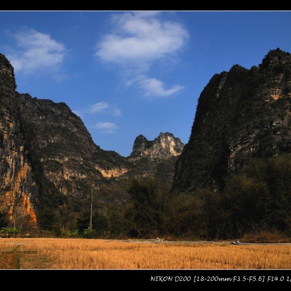 广西名仕田园风光