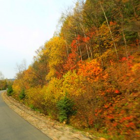 十一长假第四天