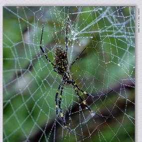 一丝一缕辛苦抽     忙碌本为生计谋