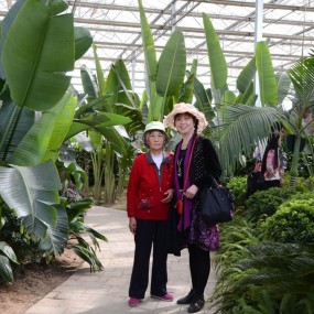沣东农博园——热带植物观赏