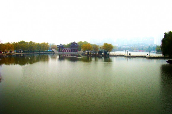 大唐一撇——1204大唐芙蓉园作业