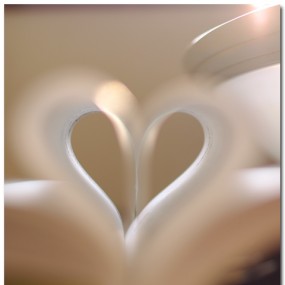 2011 - 花间集 （迟来的樱花）(生活杂集)