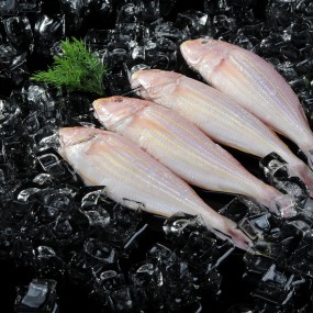 招聘二至三名兼职摄影师（美食摄影）