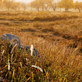 ———— 秋•色 ————