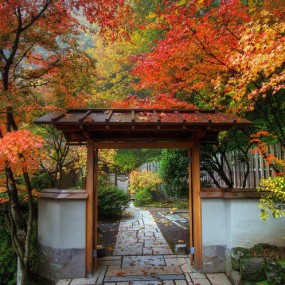 60张比明信片还美的摄影佳作，构图绝了！