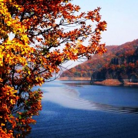 蛟河松花湖游记