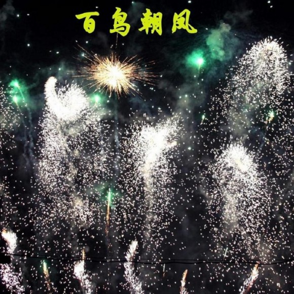 焰火流彩迎新春