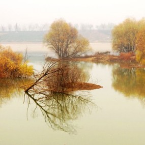 美丽的浐灞——我们身边的额济纳