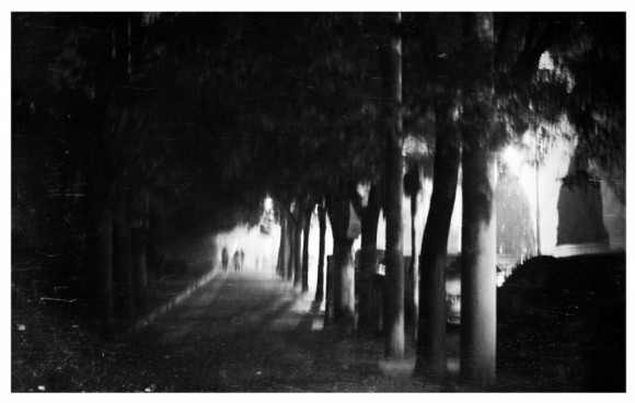 2011.11.11 朝阳花家地北里 #自冲黑白胶片#