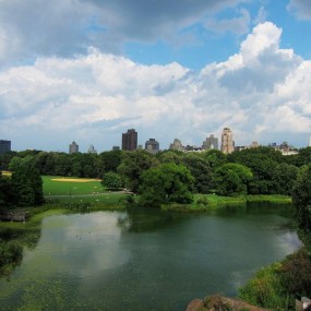 深秋的纽约中央公园