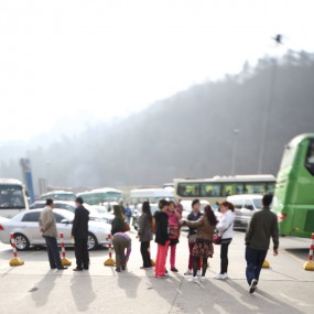 汉中油菜花拍摄花絮