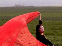 芳草地（四）委婉动人