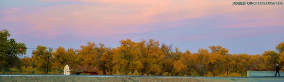 行摄胡杨林之额济纳