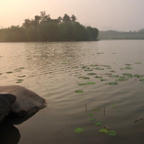 一组早上随拍的片片