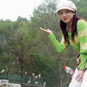 朱雀，人类的朋友—兰波