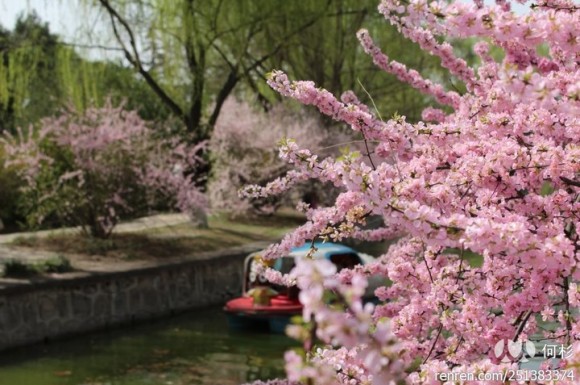 12.4.3  宝鸡植物园杂拍  (各位大神轻拍砖啊)