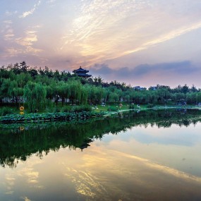 灯火长安夜 曲江桂影圆