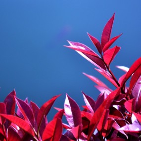 几张自拍桌面壁纸