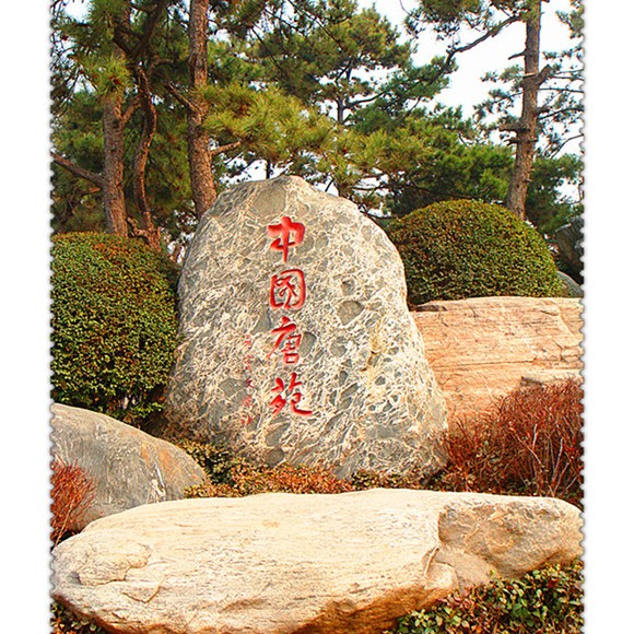 中国唐苑看风景