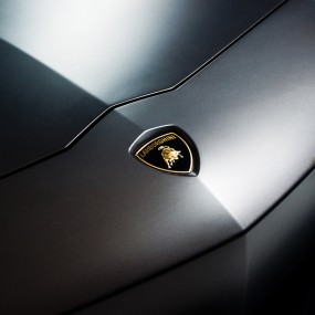 《兰博基尼的品牌标志》独特视角