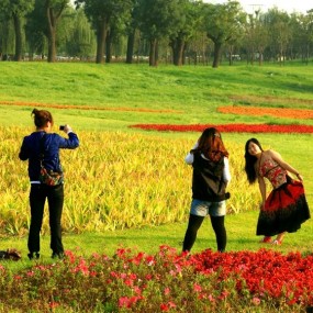 13我恋世园秀一把【世园参赛作品】