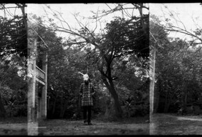 兔子小姐的忧郁