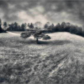 Pilgrim作品全集（三）