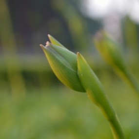 舞动的身驱  不动的追求