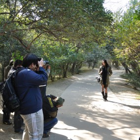 兴庆公园活动花絮