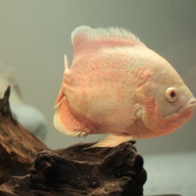 50d/适马50/1.4;只有这一个镜头.哈哈