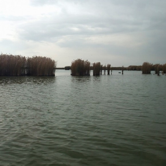 水绕沙丘天下绝——银川沙湖