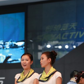 国庆车展之接待前台的美女篇