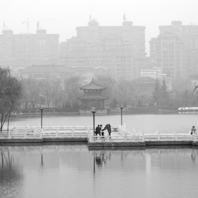 冬日芙蓉-外拍交作业