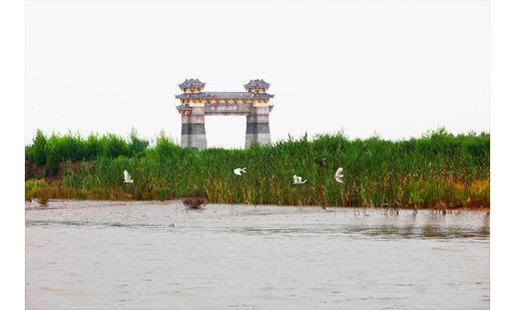 黄河岛山的湿地情！