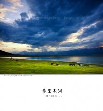 水冬青《情人的眼泪赛里木湖》