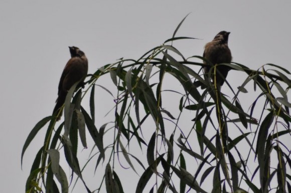 紧跟其后---看你敢和谁好
