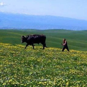 喀拉峻|岁月馨香，我依然记得你在我记忆深处