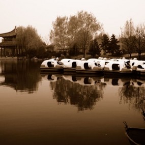 12月4日活动作业---几张杂烩