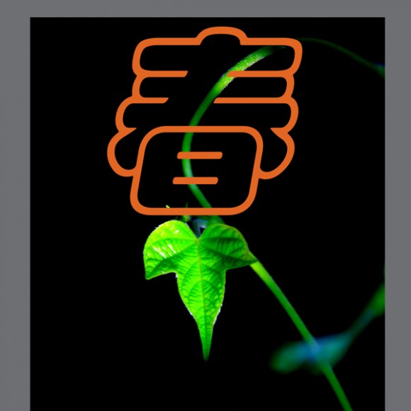 春天悄悄的来到身边