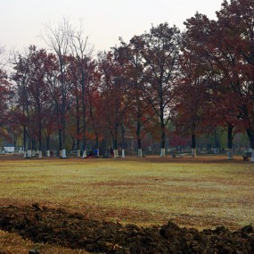 明孝陵景区的初冬景象