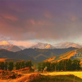 那拉提草原秋色