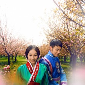 唯一视觉 每日更新