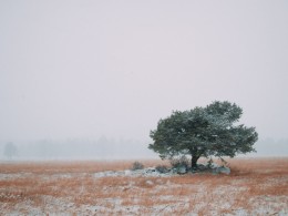 Zach Eisenhauer 风光摄影作品