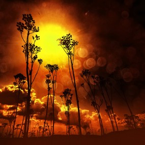 以光为名的精彩摄影作品（3）