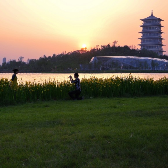 记录美——2012年度世园公园摄影大赛参赛作品