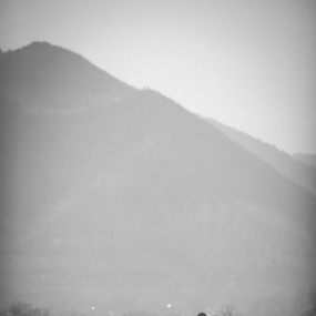 一个人的婚纱·